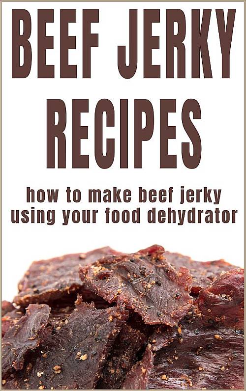 how to make beef jerky with a dehydrator
